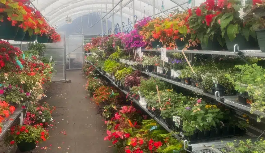 Greenhouse Department_Photo 1