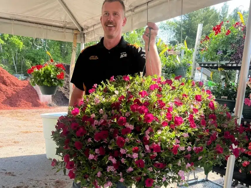 Greenhouse Department_Photo 2