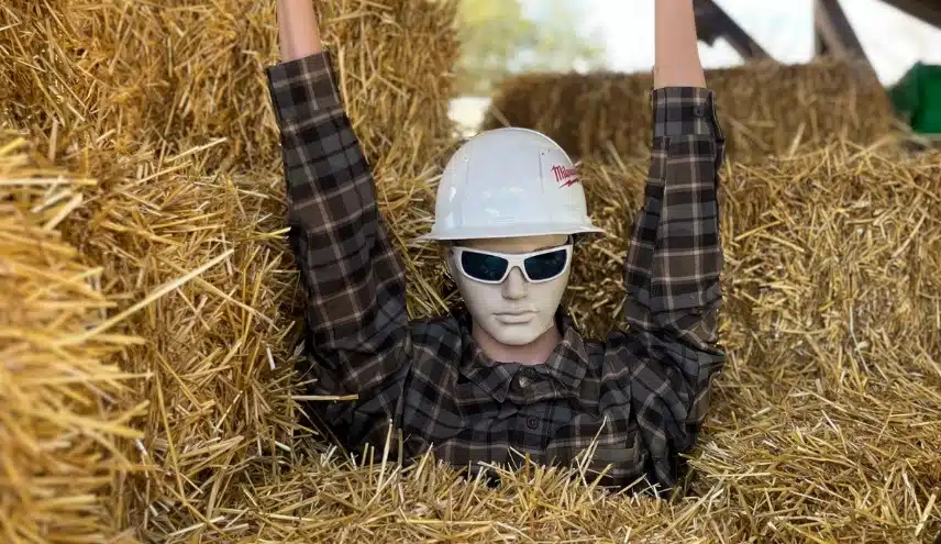 Seasonal Decor Department_Photo 1